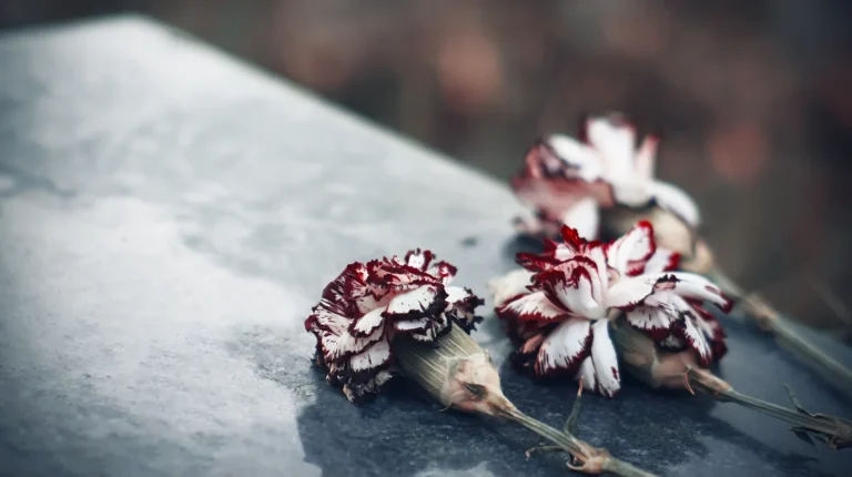 Faded scarlet carnation flowers are on the stone cold granite the tombstone, located in the dark creepy cemetery.